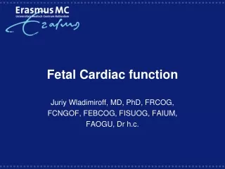 Fetal  Cardiac function