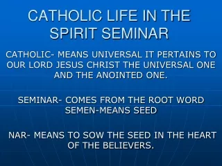 catholic life in the spirit seminar