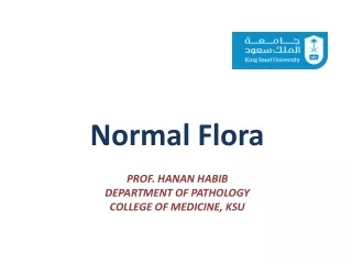 Prof.  hanan habib Department of pathology college of medicine,  ksu