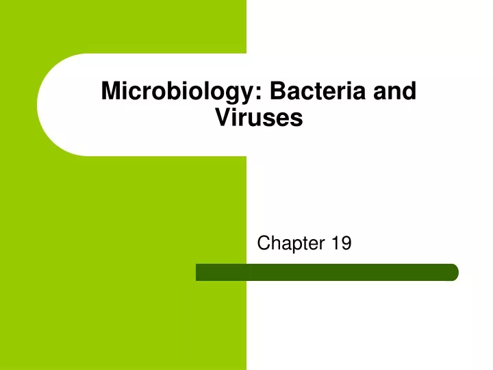 microbiology bacteria and viruses