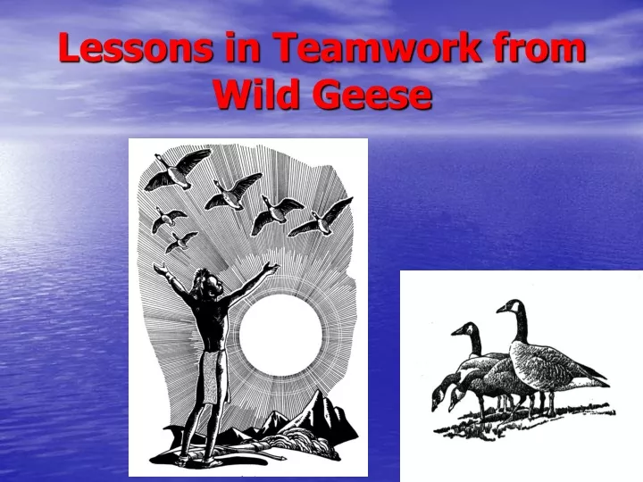 lessons in teamwork from wild geese