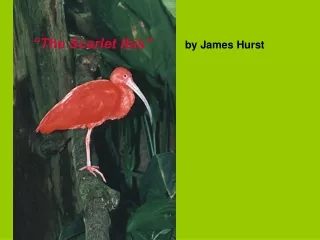 “The Scarlet Ibis” by James Hurst