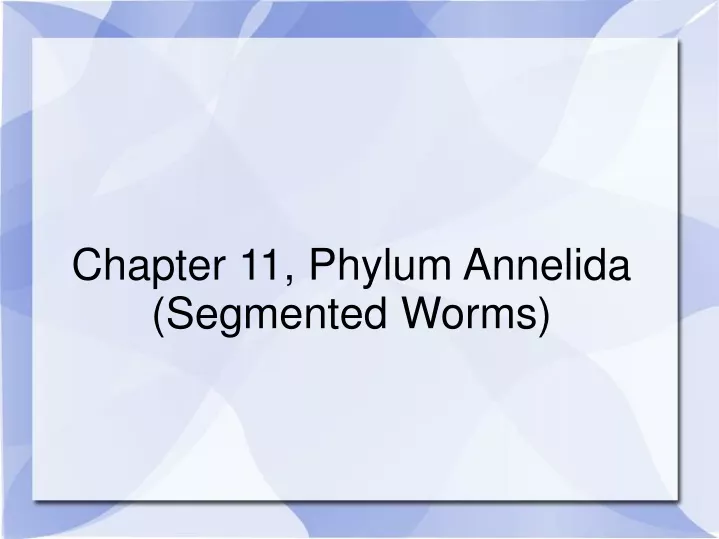 chapter 11 phylum annelida segmented worms