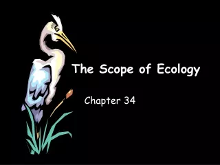 The Scope of Ecology