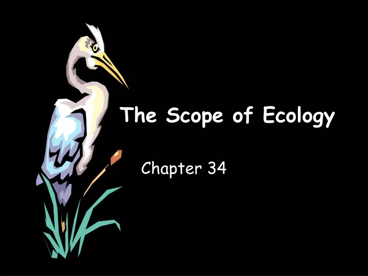 the scope of ecology