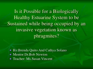 By:Brenda Quito And Cathya Solano Mentor:Dr.Bob Newton Teacher: Ms.Susan Vincent
