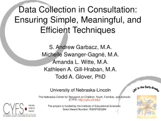Data Collection in Consultation:  Ensuring Simple, Meaningful, and Efficient Techniques