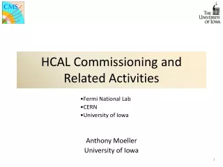 HCAL Commissioning and Related Activities