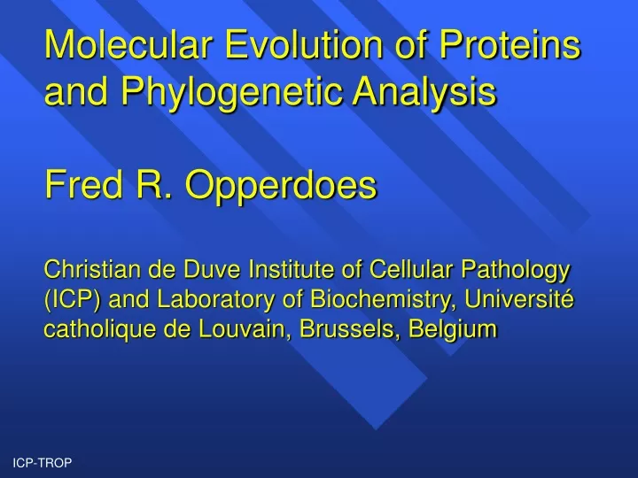 molecular evolution of proteins and phylogenetic