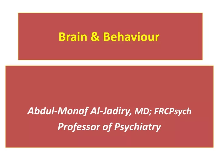 brain behaviour