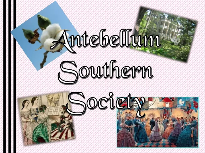 antebellum southern society