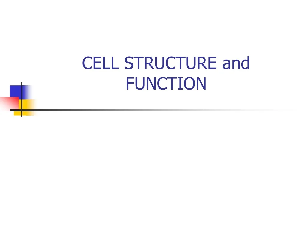 PPT - CELL STRUCTURE and FUNCTION PowerPoint Presentation, free ...