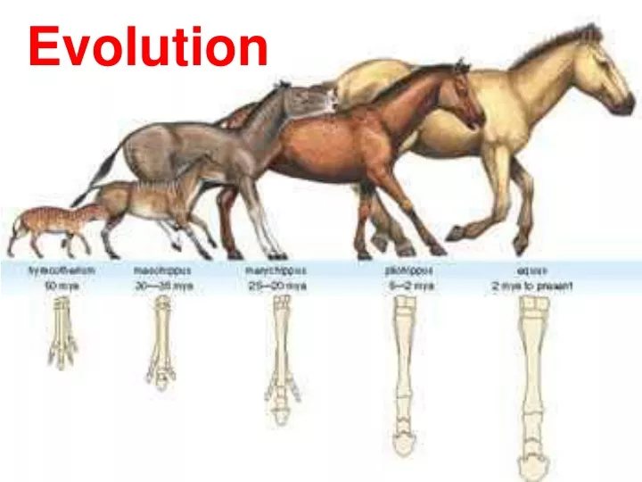 evolution