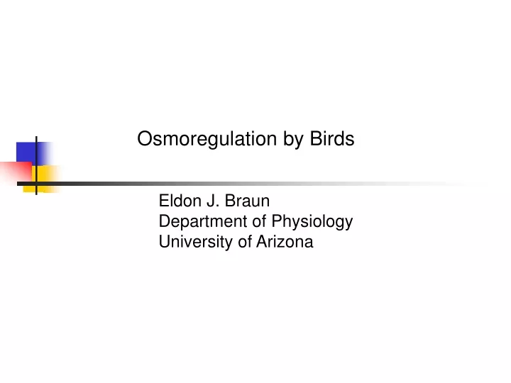 osmoregulation by birds