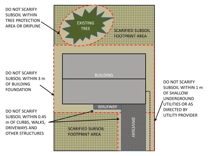 do not scarify subsoil within tree protection