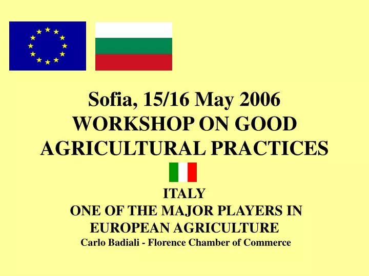sofia 15 16 may 2006 workshop on good