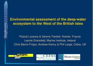 Environmental assessment of the deep-water ecosystem to the West of the British Isles