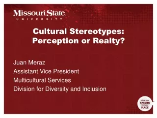 Cultural Stereotypes: Perception or Realty?