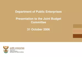 Department of Public Enterprises Presentation to the Joint Budget Committee 31 October 2006