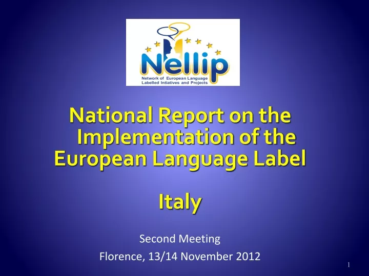 national report on the implementation