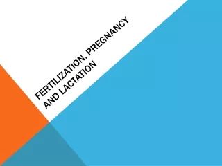 Fertilization, Pregnancy  And  Lactation