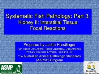 Systematic Fish Pathology: Part 3.  Kidney II: Interstitial Tissue Focal Reactions