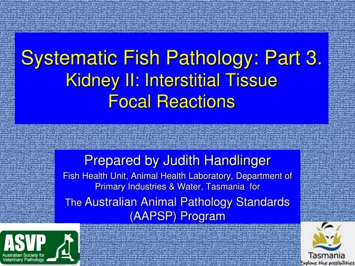 systematic fish pathology part 3 kidney ii interstitial tissue focal reactions