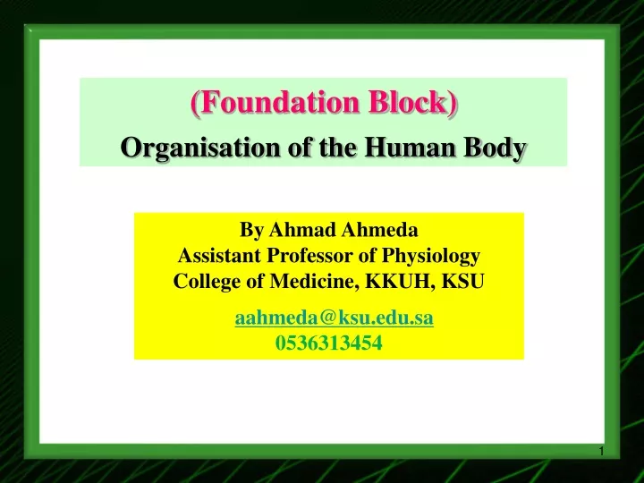 foundation block organisation of the human body
