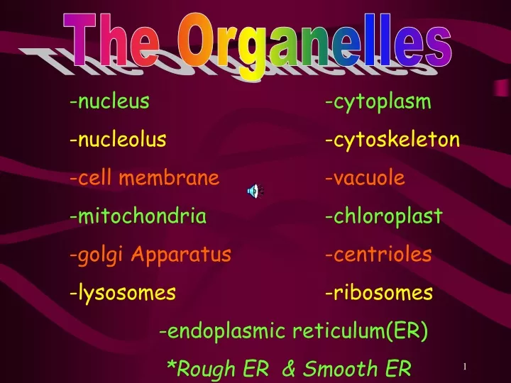 the organelles