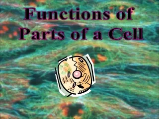 Functions of  Parts of a Cell