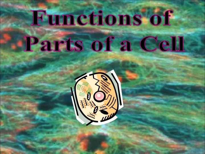 functions of parts of a cell