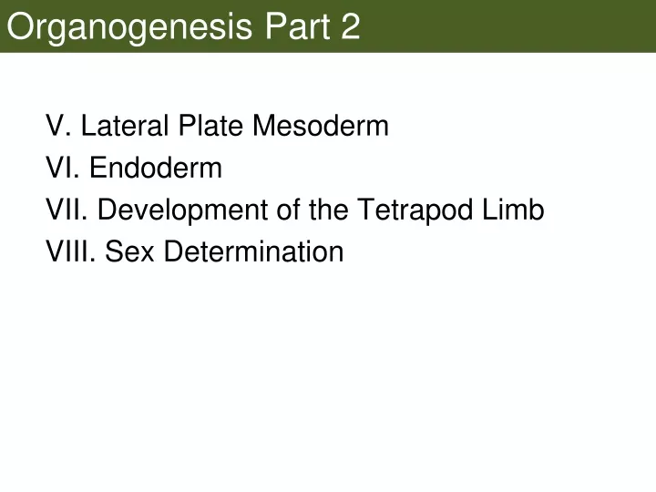 organogenesis part 2