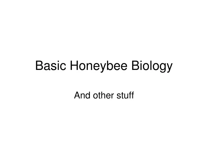 basic honeybee biology