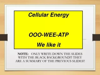 Cellular Energy OOO-WEE-ATP We like it