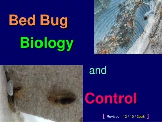 Bed Bug Biology  and Control [   Revised:   12  /  10  /  2oo8  ]