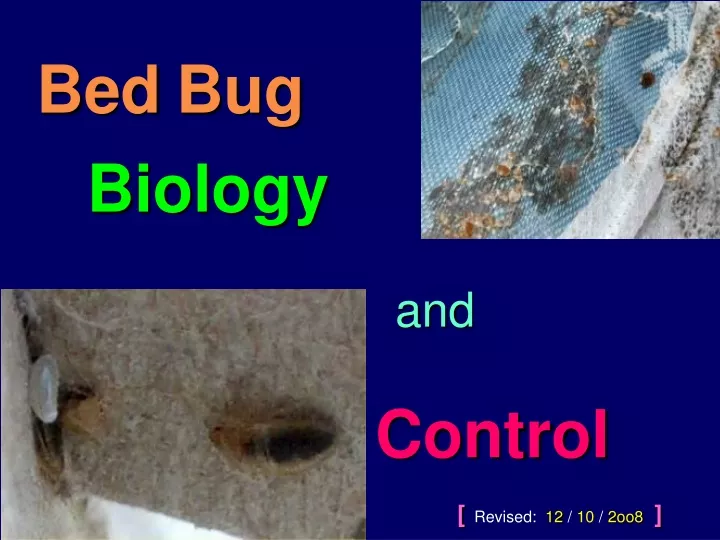 bed bug biology and control revised 12 10 2oo8