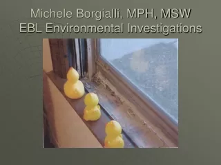 Michele Borgialli, MPH, MSW EBL Environmental Investigations