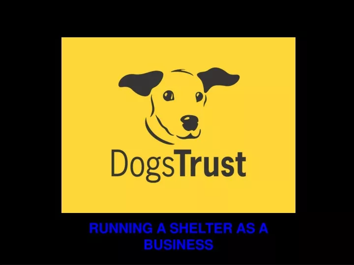 running a shelter as a business