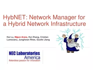 HybNET: Network Manager for a Hybrid Network Infrastructure