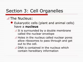Section 3: Cell Organelles