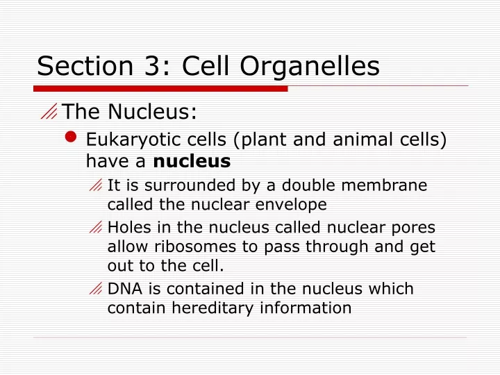 section 3 cell organelles