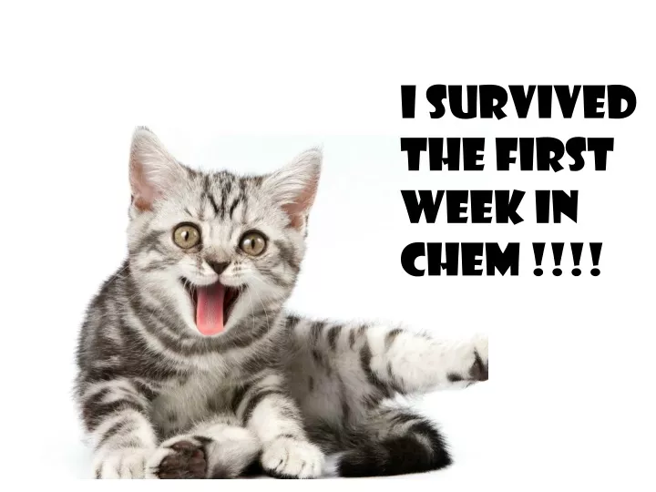 i survived the first week in chem