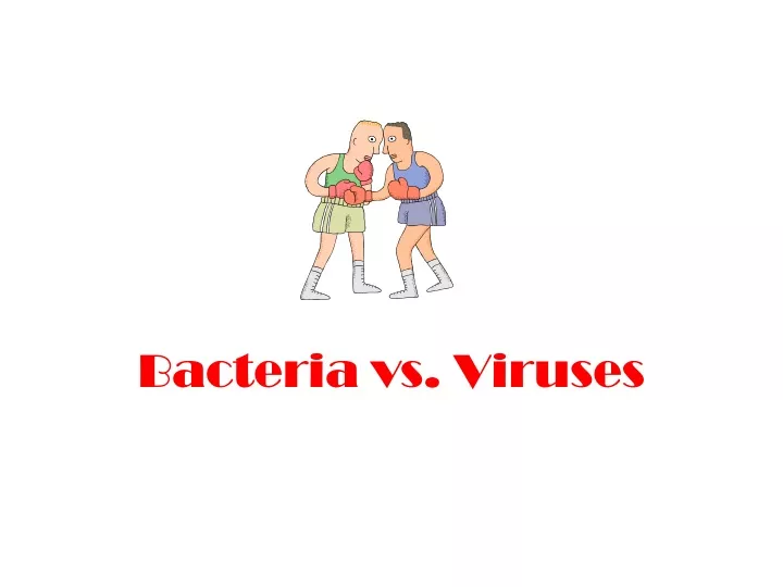 bacteria vs viruses