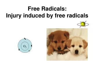 Free Radicals:  Injury induced by free radicals