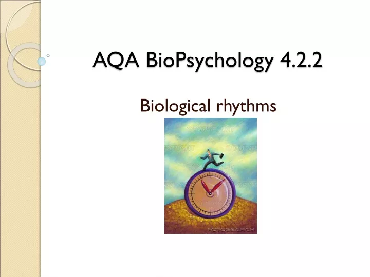 aqa biopsychology 4 2 2