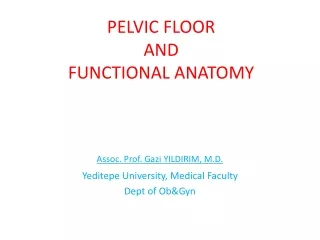 PELVIC FLOOR  AND  FUNCTIONAL ANATOMY