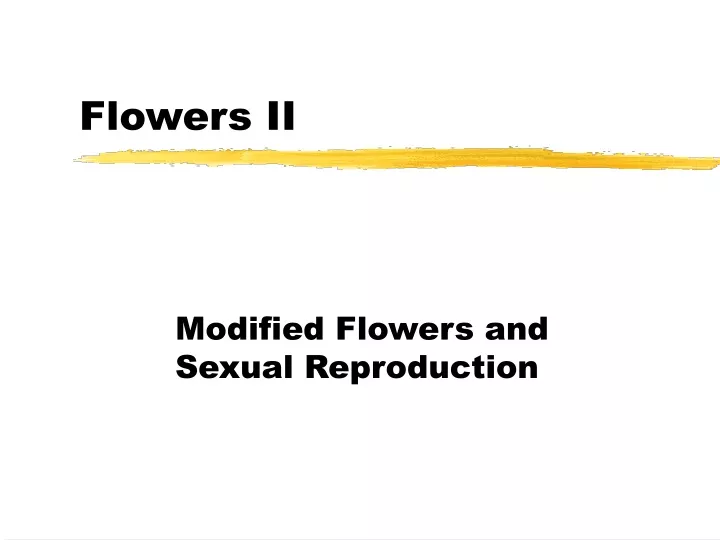 flowers ii