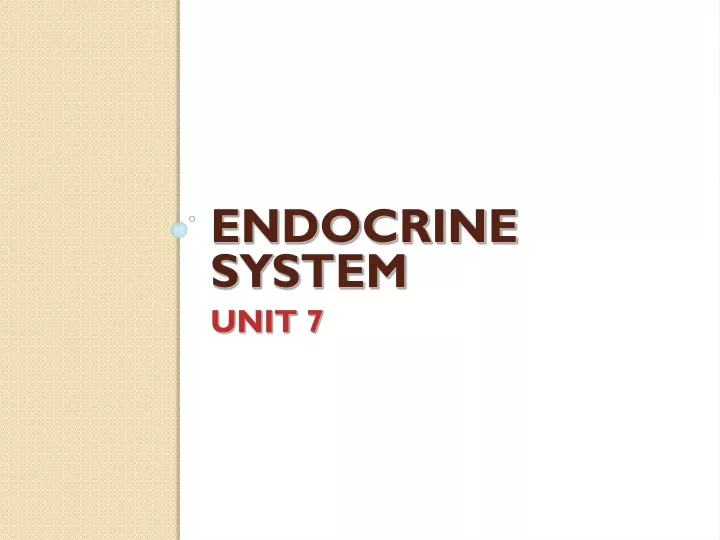 endocrine system unit 7