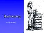 Beekeeping - slide 1