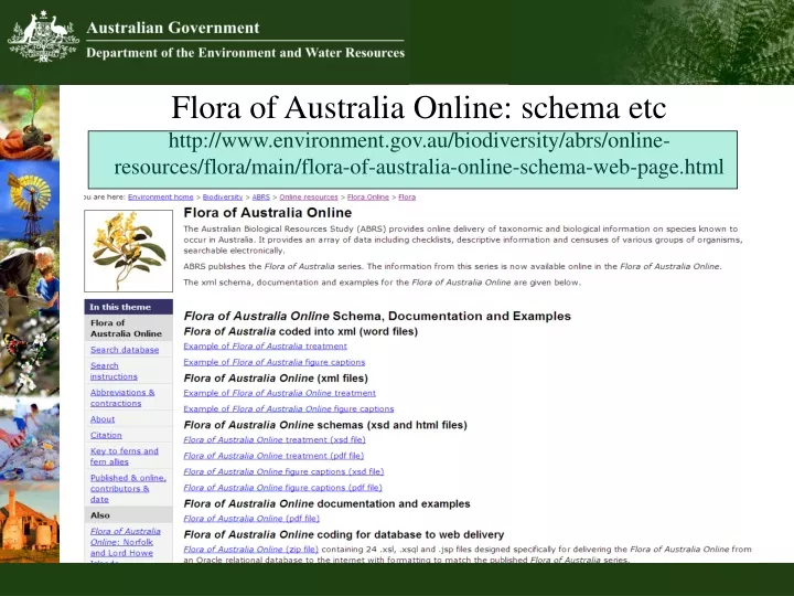 flora of australia online schema etc http